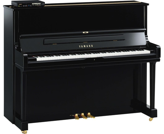  - 21177 за 0 грн. | 4Club